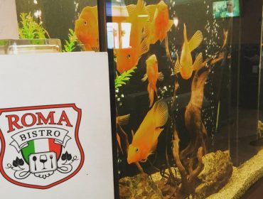 Заведение с автентична средиземноморска и азиатска кухня във Варна | Бистро Рома